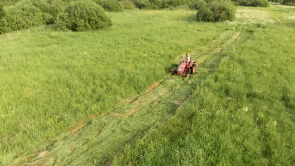 Farmer on a Tractor Mows Hay for Livestock Feed in a Pasture with High Green Grass alt
