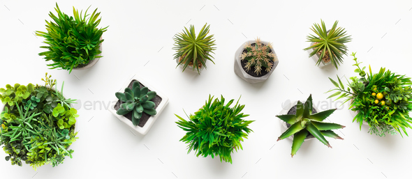 Various artificial plants in pots on white table - Stock Photo - Images