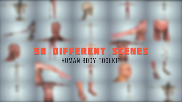 Human Body Toolkit