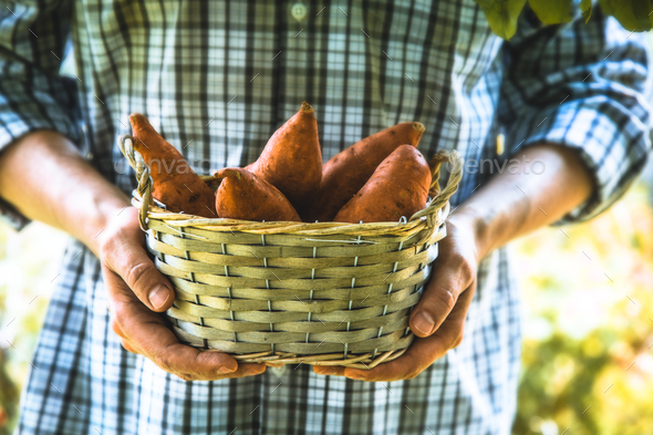 Farmer - Stock Photo - Images