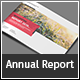 Landscape Infographic Report