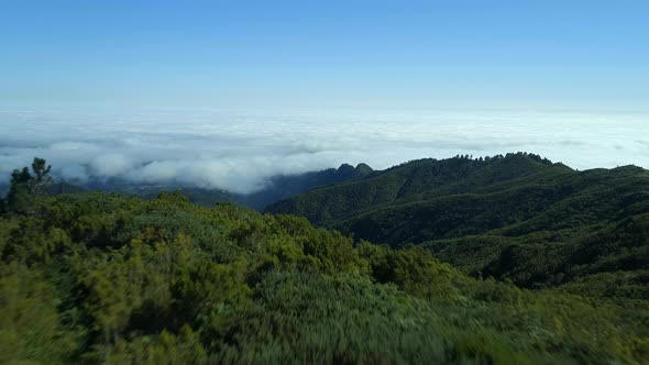 Thick Forests and Mountain Landscape of Madeira alt