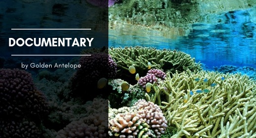 Documentary by GoldenAntelope