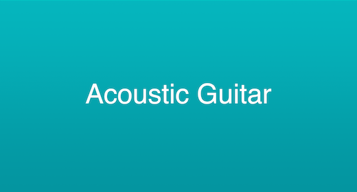 Acoustic Guitar