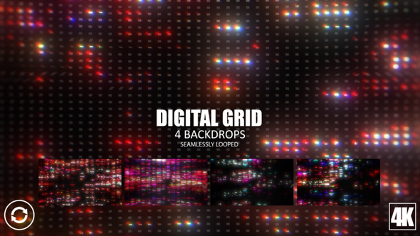 Digital Grid