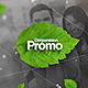 Light Green Promo - VideoHive Item for Sale