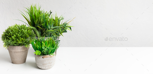 Collection of various artificial plants in different pots - Stock Photo - Images