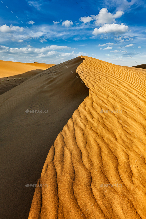 Dunes in Thar Desert