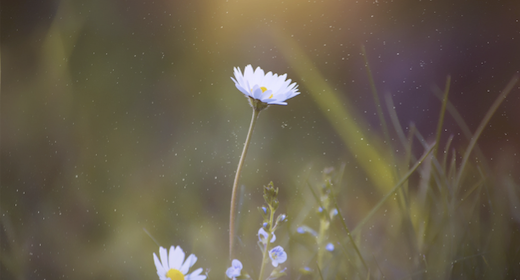 Emotional | Romantic