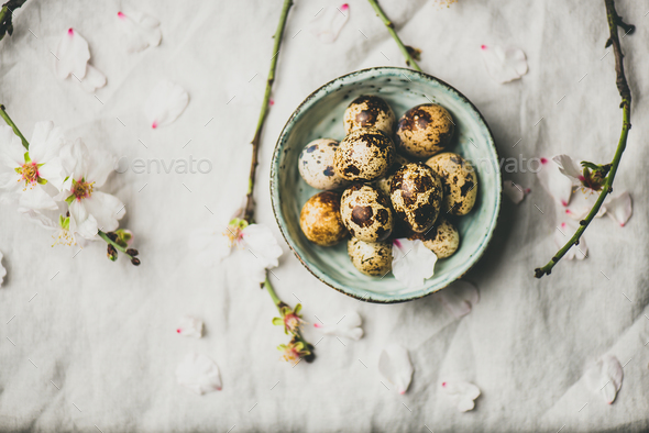 Easter flat-lay with quail eggs, almond tree branches with flowers - Stock Photo - Images