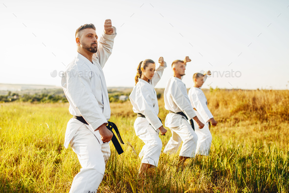 Karate class work out the stand, training in field