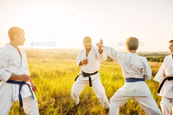 Junior karate fighters with master, skill training