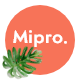 Mipro - Minimal WooCommerce WordPress Theme