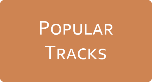 Popular Tracks
