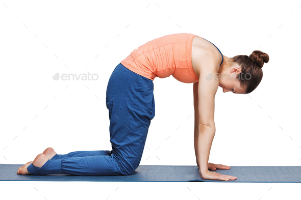 Beautiful Sporty Fit Yogini Woman Practices Yoga Asana