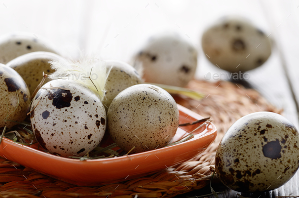 organic quail eggs near me