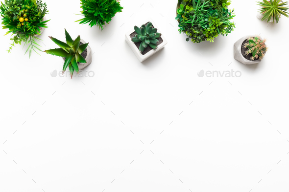 Small artificial plants in pots on white background - Stock Photo - Images