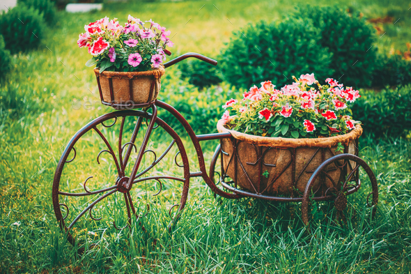 bike with flower basket