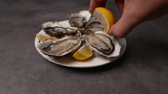 Fresh Oysters 31 alt