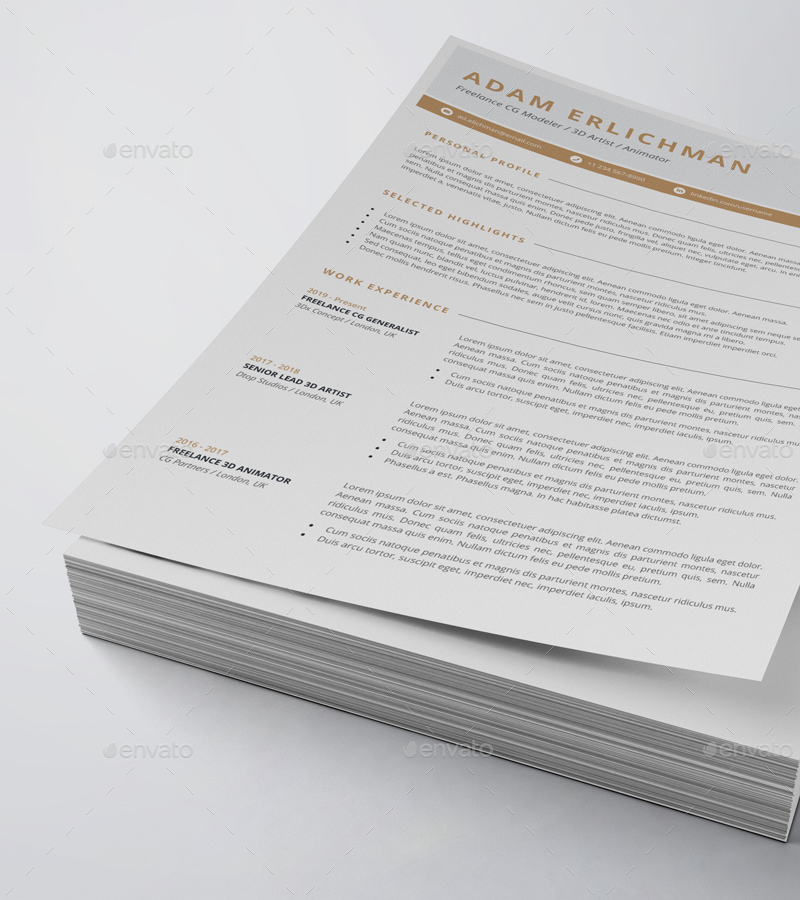 Clean Resume/CV (2 Page), Print Templates | GraphicRiver