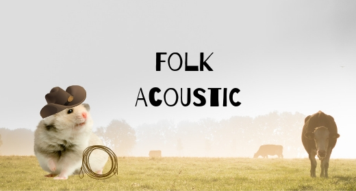 Folk Acoustic