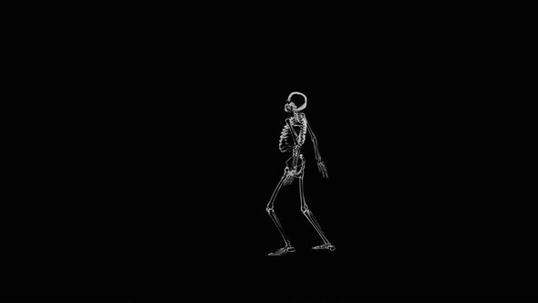 30 Ghost Halloween Dancing HD, Motion Graphics | VideoHive