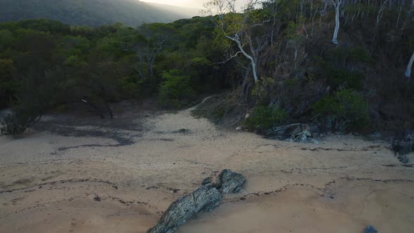 Aerial, Beautiful Little Beach With Tropical Vegetation In Palm Cove, Queensland, Australia