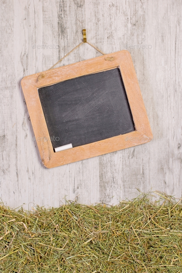 A Blank Chalkboard and Straw Grass - Stock Photo - Images