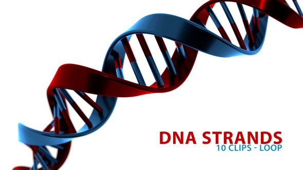 Colorful DNA Strands