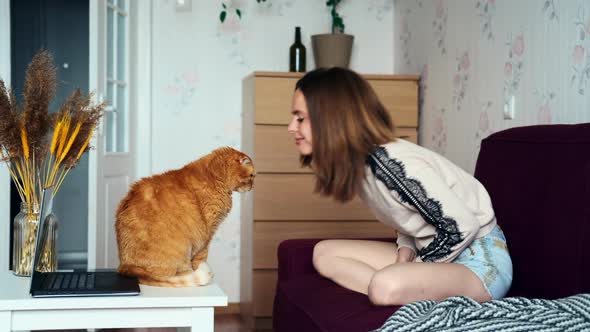 Girl Playing With Her Cat At Home, Giving A Kiss And Touch The Nose