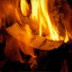 Piles Of Money Burning In The Fire - VideoHive Item for Sale