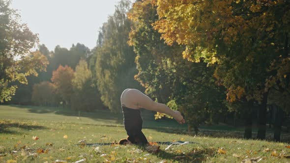 Young Woman Practicing Headstand Yoga Pose in City Park on Sunny Autumn Day