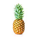 Pineapple_Studio