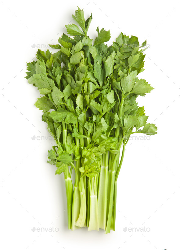 Bunch of fresh celery stalk. Stock Photo by jirkaejc PhotoDune