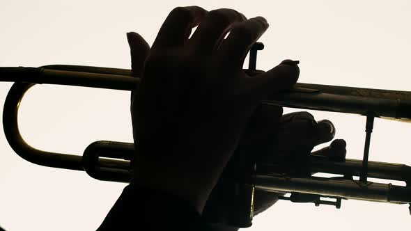 Closeup of Male Hands Playing Trumpet on White Background alt