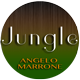 Jungle Birds Sound
