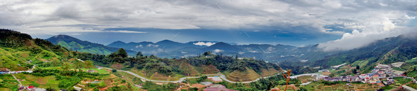 Malaysia, panorama of tea plantations in Cameron Highland
