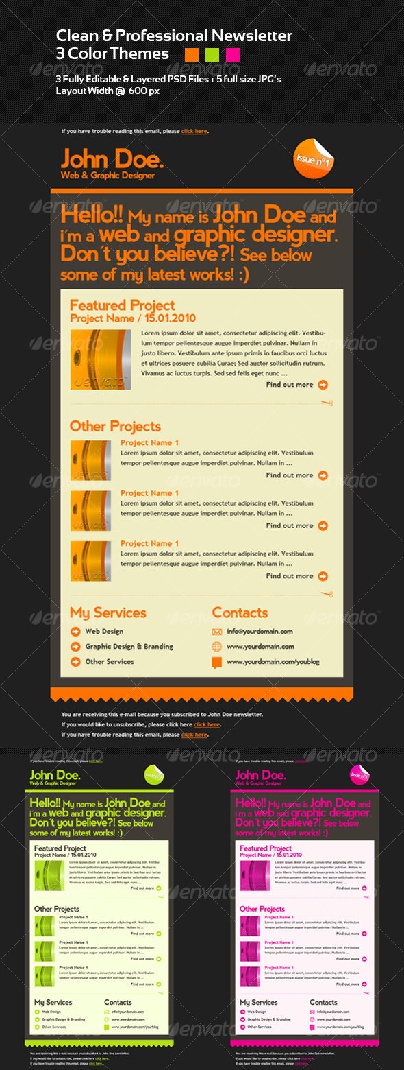 Clean & Professional Newsletter Layout - 3 Colors - Web Elements