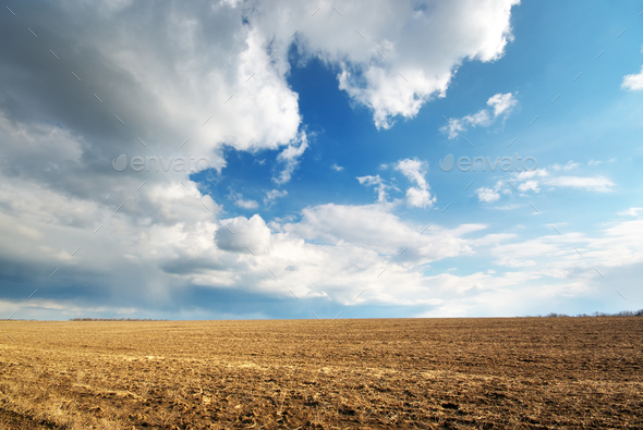 Dry meadow Stock Photo by rozum | PhotoDune