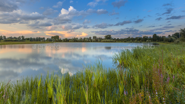 Lush River bank vegetation in forelands Blauwe Kamer - Stock Photo - Images