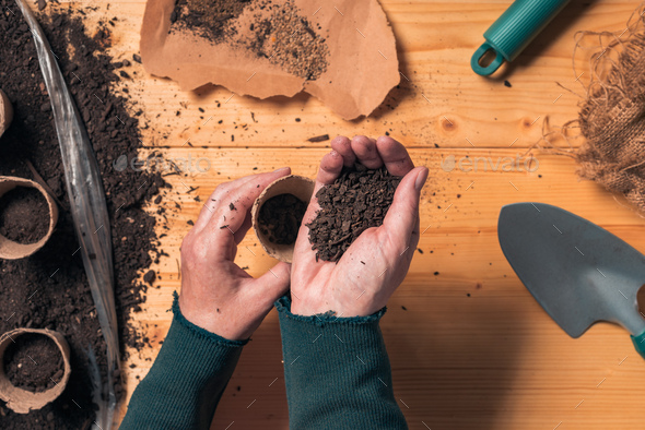 Gardener filling biodegradable soil pot container - Stock Photo - Images
