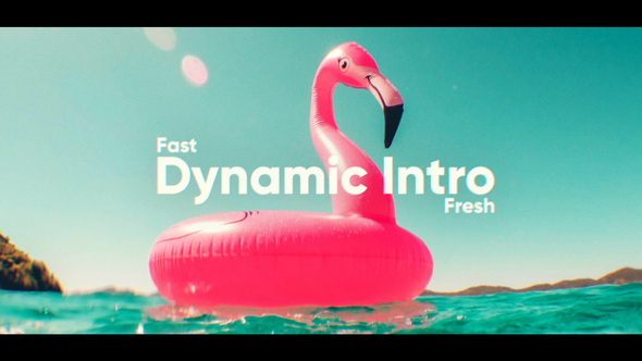 Dynamic Fast Intro - VideoHive 23659610