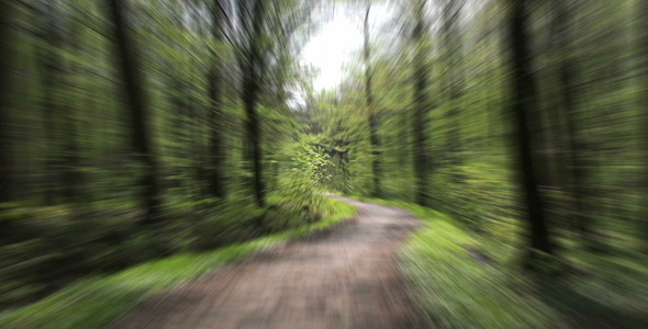 Running In Forest