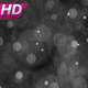 Falling Particles Simulate Snowfall - VideoHive Item for Sale