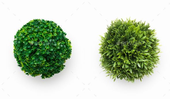 Evergreen artificial plants in round pots on white background - Stock Photo - Images