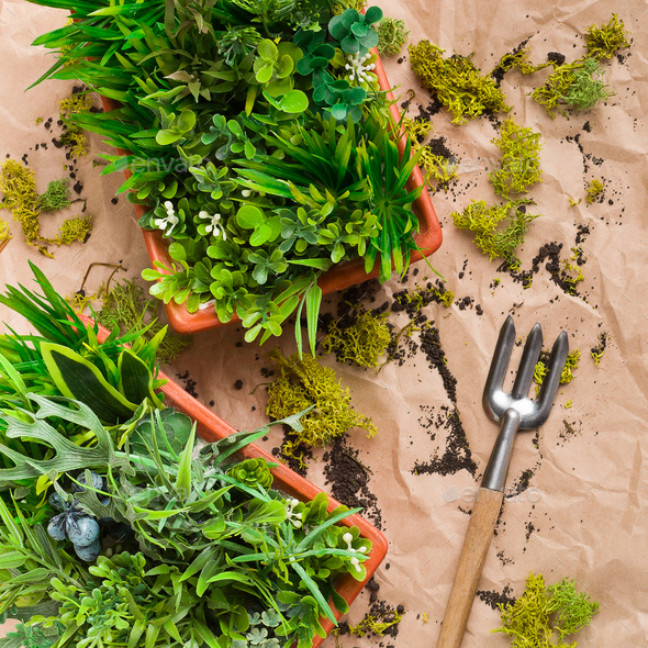Gardening rake and artificial plants in pots on rumpled craft paper - Stock Photo - Images