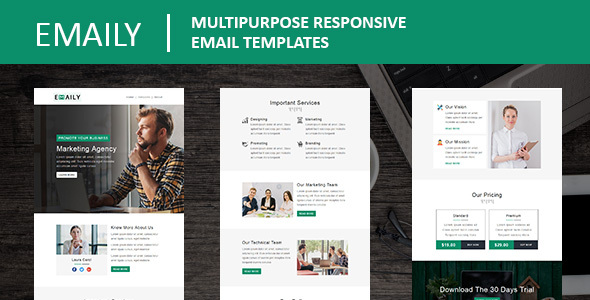 Emaily - Multipurpose - ThemeForest 23267743