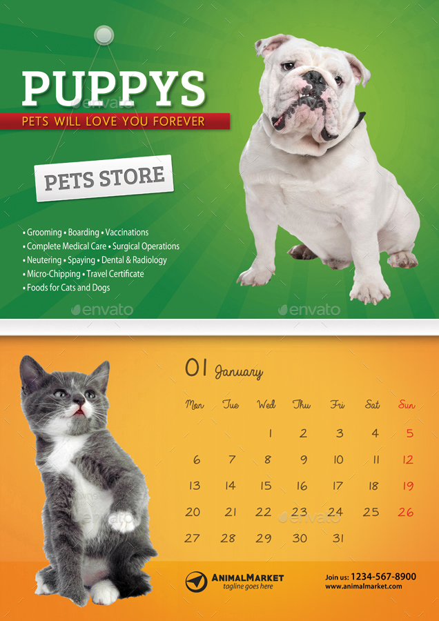 Pet Shop Wall Calendar 2020 by rapidgraf GraphicRiver