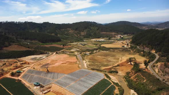 Scene of farmland in Lam dong in sunny day. Aerial circling alt
