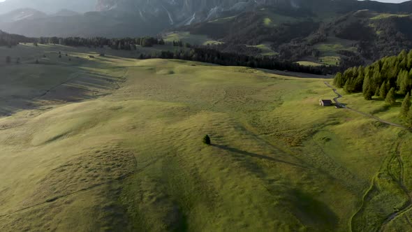 Aerial Backwards Reveal Shot of Lonely Tree at Idyllic Seiser Alm in Dolomites Italy